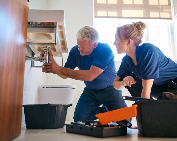 Best Plumbing Services Near Me  in Millport, AL